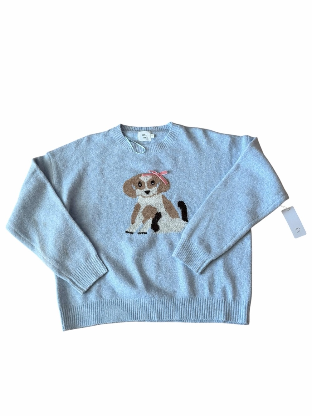 Luna Ivy Puppy Dog Graphic Sweater Women's Large Blue Bow Coquette Cute